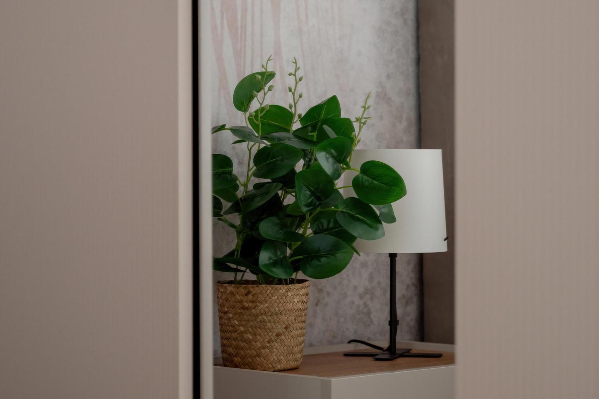 Exceptional Apartment With Parking By Noclegi Renters Катовице Экстерьер фото
